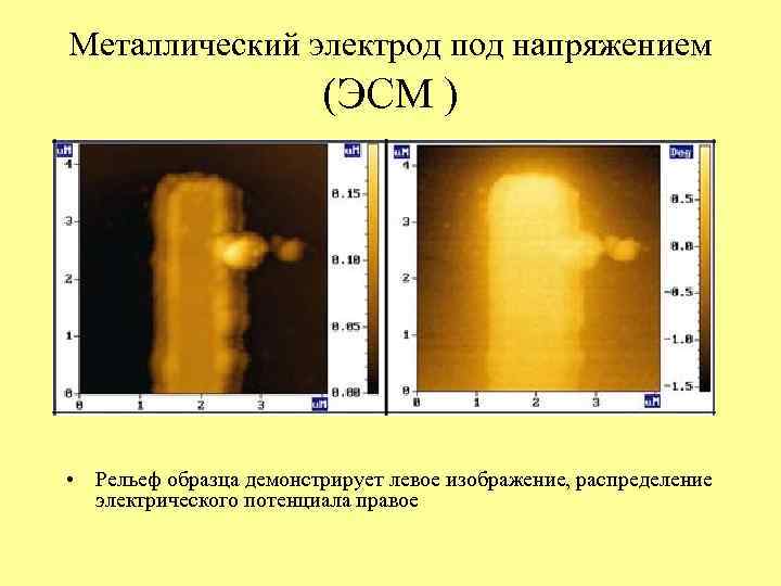 Металлический электрод под напряжением (ЭСМ ) • Рельеф образца демонстрирует левое изображение, распределение электрического