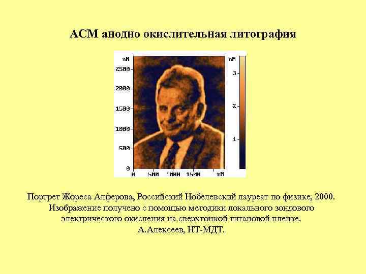 АСМ анодно окислительная литография Портрет Жореса Алферова, Российский Нобелевский лауреат по физике, 2000. Изображение