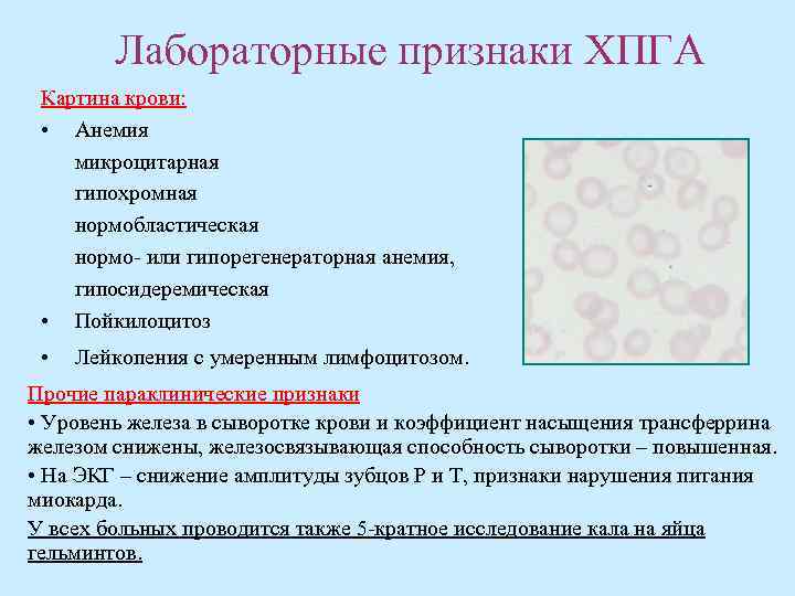 Картина крови при постгеморрагической анемии