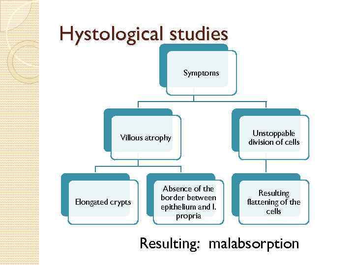 Hystological studies Symptoms Villous atrophy Elongated crypts Absence of the border between epithelium and