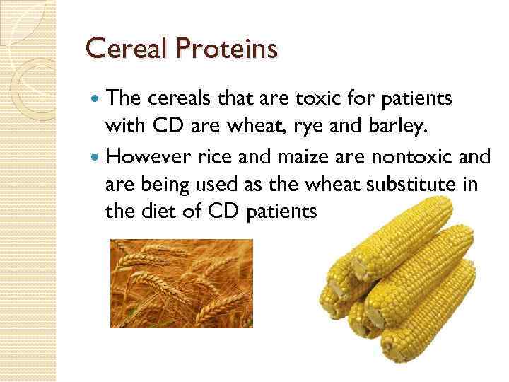 Cereal Proteins The cereals that are toxic for patients with CD are wheat, rye