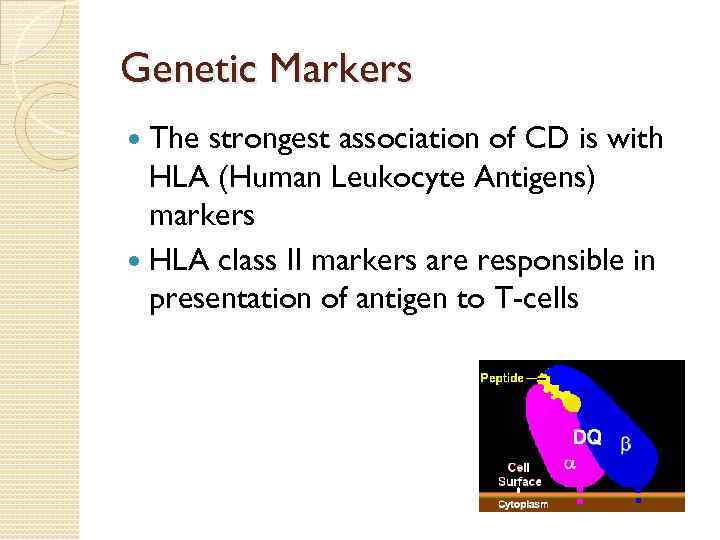 Genetic Markers The strongest association of CD is with HLA (Human Leukocyte Antigens) markers