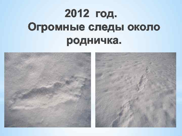 2012 год. Огромные следы около родничка. 