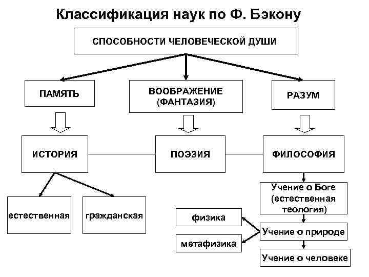 Классификация наук социология