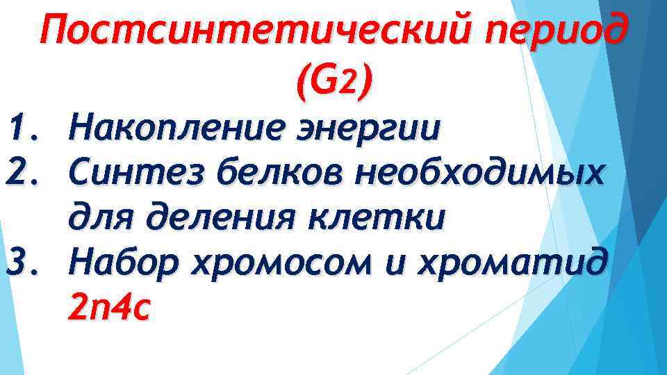 Постсинтетический период (G 2 ) 1. Накопление энергии 2. Синтез белков необходимых для деления