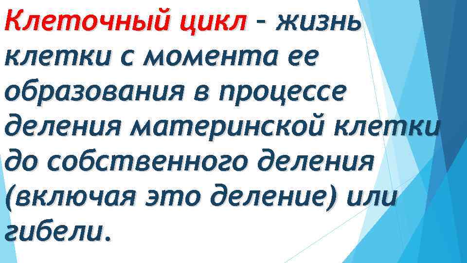 Клеточный цикл – жизнь клетки с момента ее образования в процессе деления материнской клетки