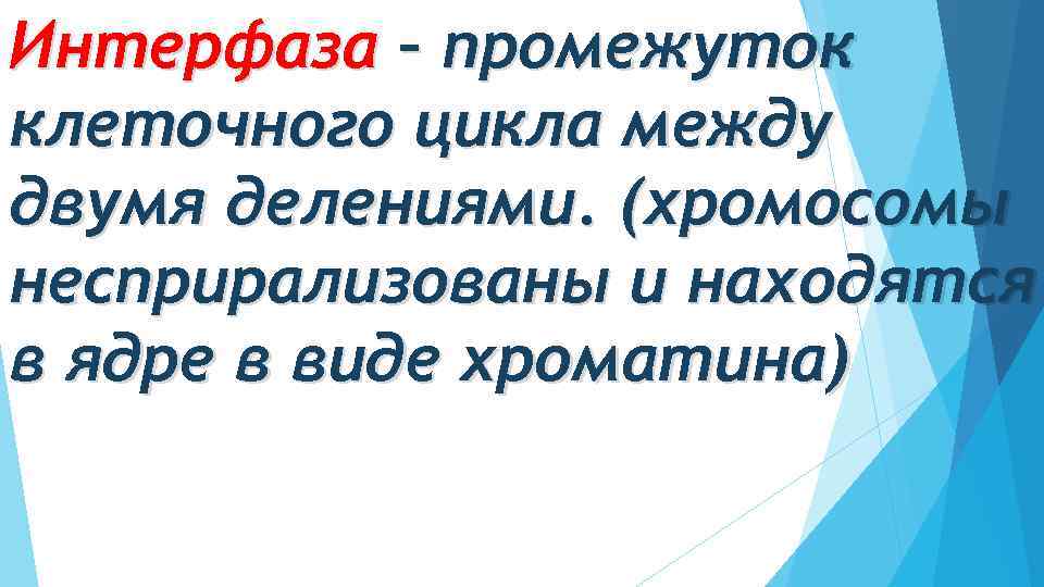 Интерфаза – промежуток клеточного цикла между двумя делениями. (хромосомы несприрализованы и находятся в ядре