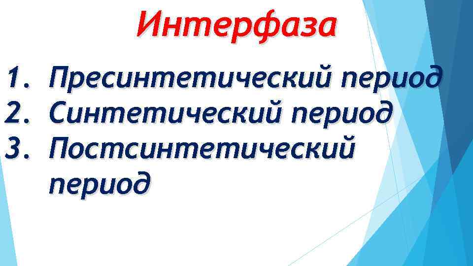 Интерфаза 1. Пресинтетический период 2. Синтетический период 3. Постсинтетический период 