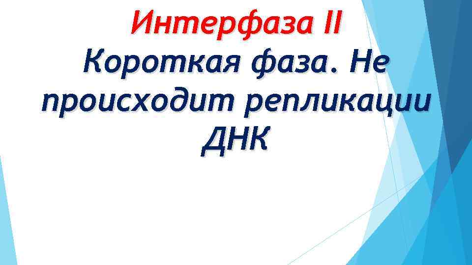 Интерфаза II Короткая фаза. Не происходит репликации ДНК 