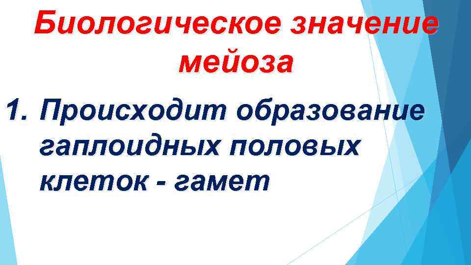Биологическое значение мейоза 1. Происходит образование гаплоидных половых клеток - гамет 