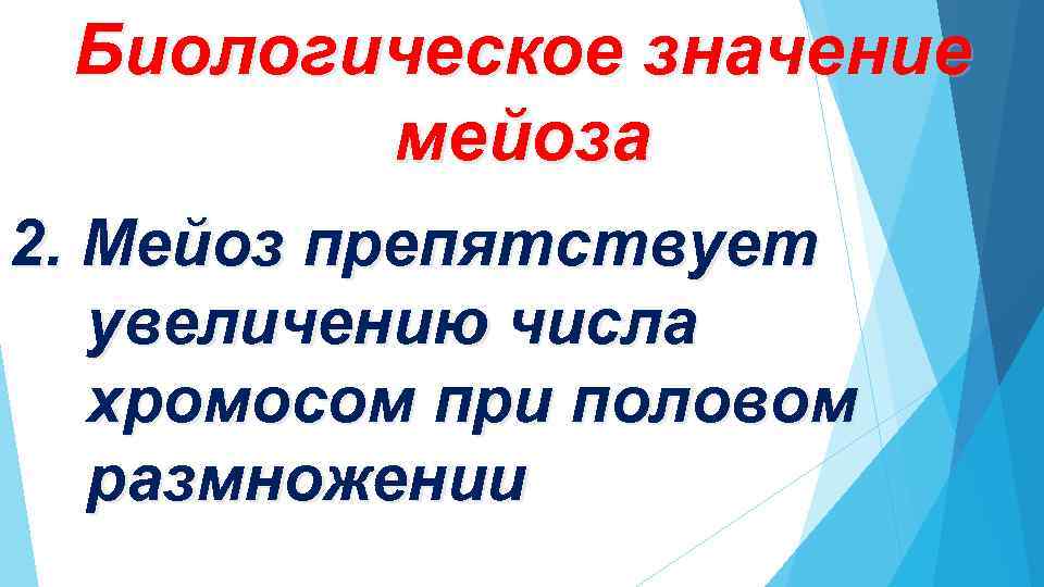 Каково биологическое значение мейоза. Биологическое значение мейоза 2. Биологический смысл мейоза. Биологический смысл и значение мейоза.