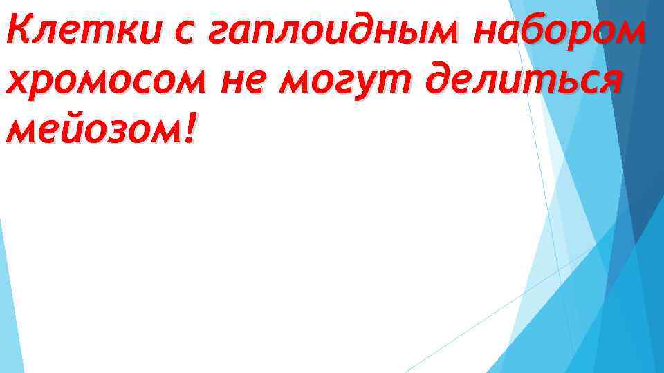 Клетки с гаплоидным набором хромосом не могут делиться мейозом! 
