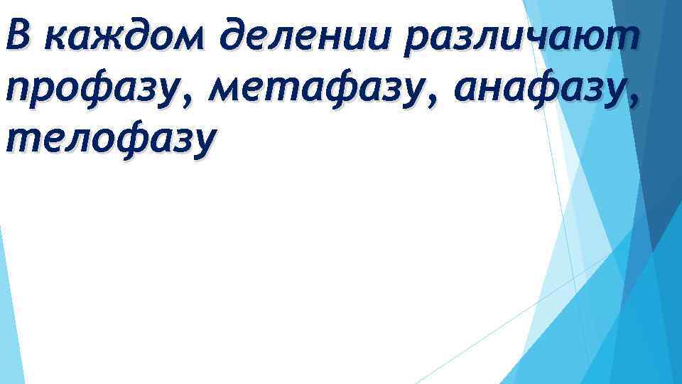 В каждом делении различают профазу, метафазу, анафазу, телофазу 