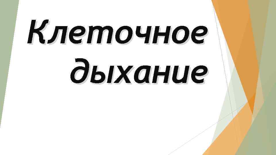 Клеточное дыхание 