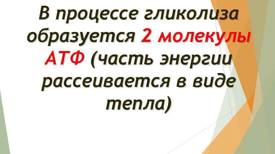 В процессе гликолиза образуется 2 молекулы АТФ (часть энергии рассеивается в виде тепла) 