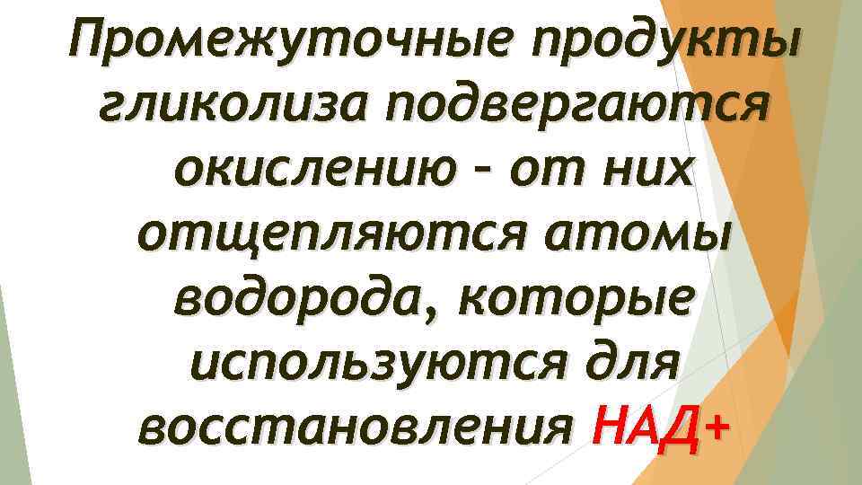 Промежуточные продукты гликолиза подвергаются окислению – от них отщепляются атомы водорода, которые используются для