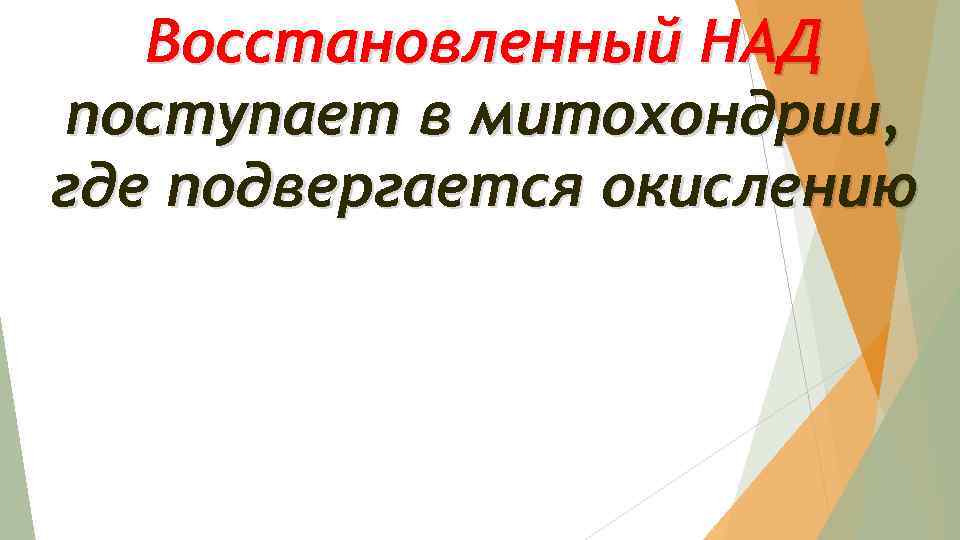 Восстановленный НАД поступает в митохондрии, где подвергается окислению 