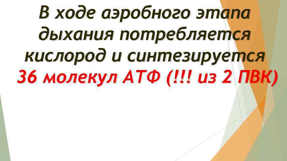 В ходе аэробного этапа дыхания потребляется кислород и синтезируется 36 молекул АТФ (!!! из