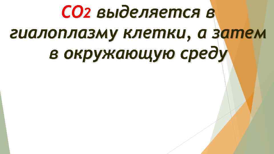 СО 2 выделяется в гиалоплазму клетки, а затем в окружающую среду 