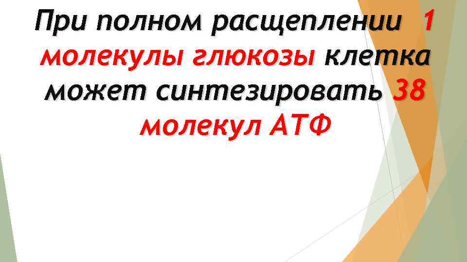 При полном расщеплении 1 молекулы глюкозы клетка может синтезировать 38 молекул АТФ 