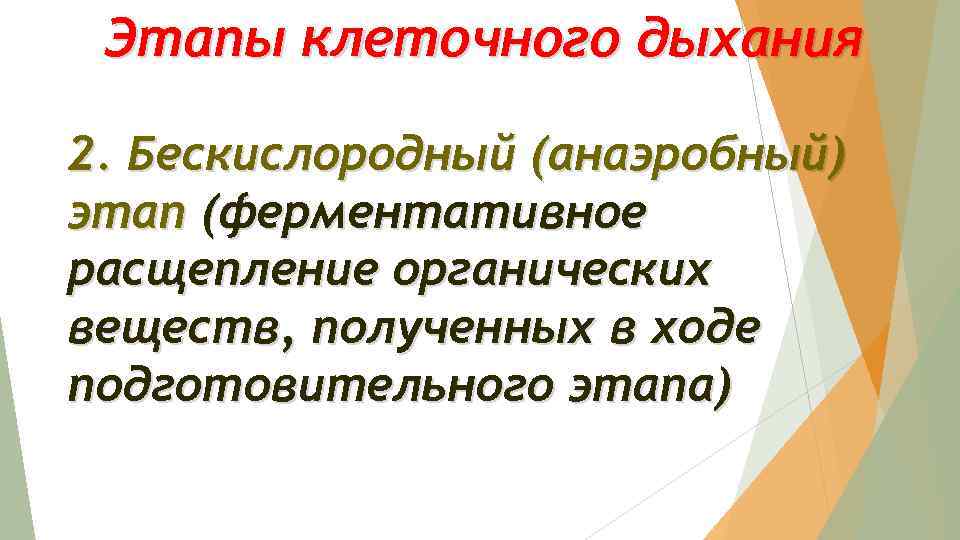 Этапы клеточного дыхания 2. Бескислородный (анаэробный) этап (ферментативное расщепление органических веществ, полученных в ходе