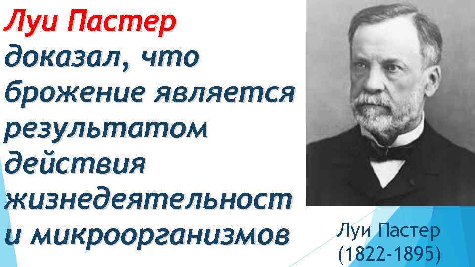Луи Пастер доказал, что брожение является результатом действия жизнедеятельност и микроорганизмов Луи Пастер (1822