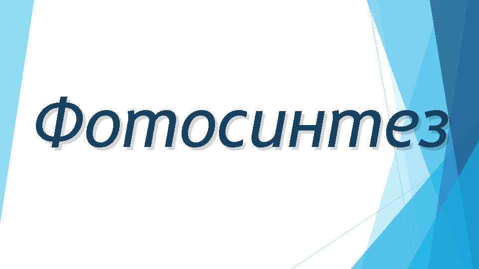Фотосинтез 