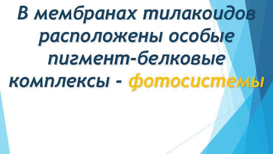 В мембранах тилакоидов расположены особые пигмент-белковые комплексы - фотосистемы 
