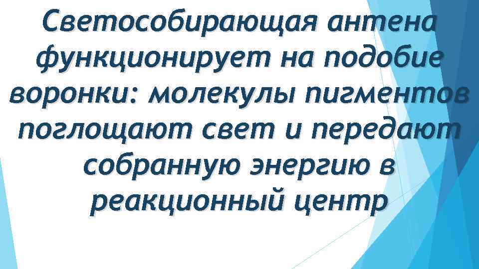 Светособирающая антена функционирует на подобие воронки: молекулы пигментов поглощают свет и передают собранную энергию
