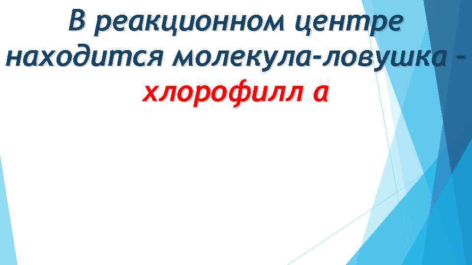 В реакционном центре находится молекула-ловушка – хлорофилл α 