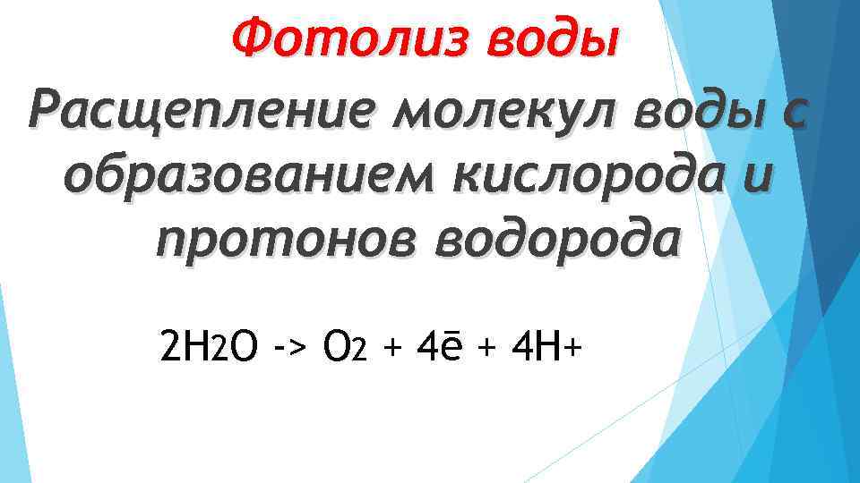 Фотолиз воды Расщепление молекул воды с образованием кислорода и протонов водорода 2 Н 2