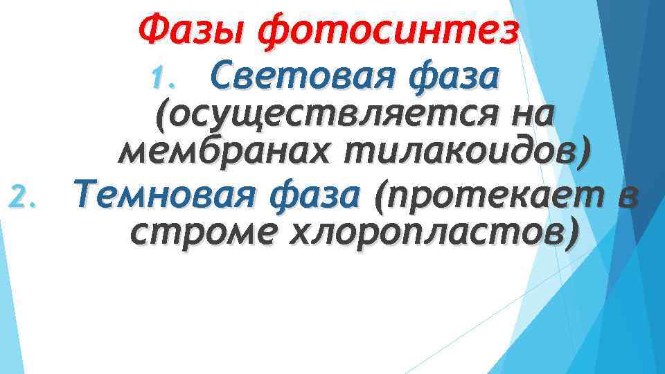 Фазы фотосинтез Световая фаза (осуществляется на мембранах тилакоидов) 2. Темновая фаза (протекает в строме