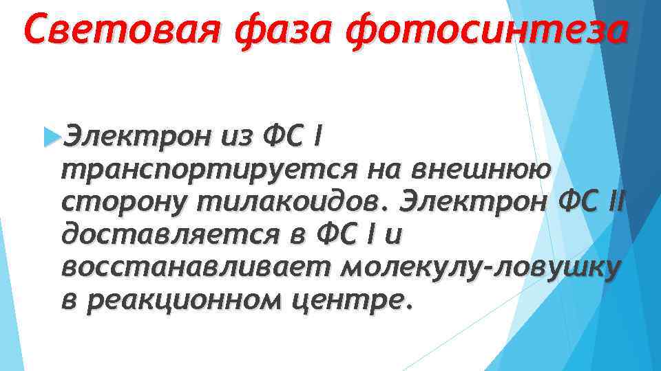 Световая фаза фотосинтеза Электрон из ФС I транспортируется на внешнюю сторону тилакоидов. Электрон ФС