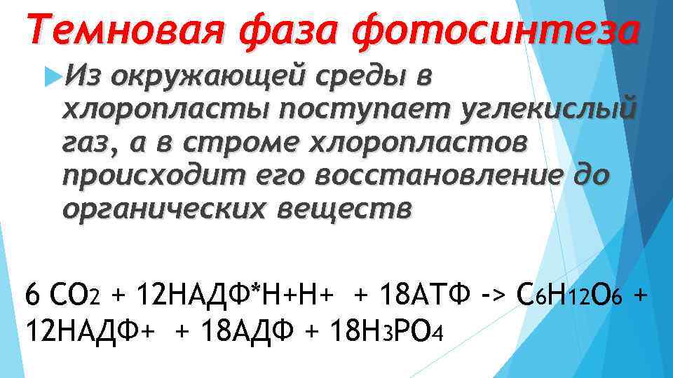 Темновая фаза фотосинтеза Из окружающей среды в хлоропласты поступает углекислый газ, а в строме