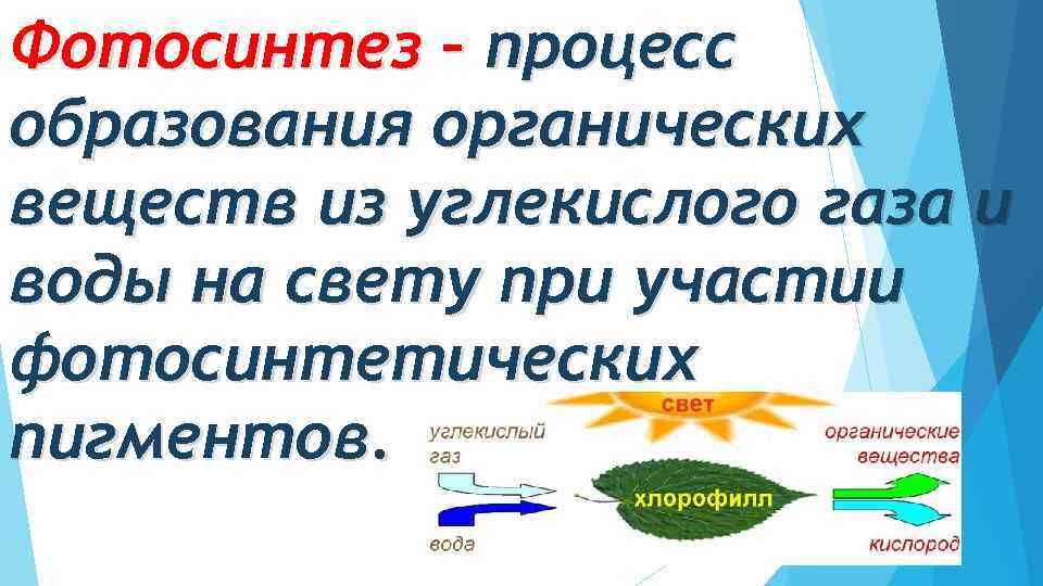 Фотосинтез – процесс образования органических веществ из углекислого газа и воды на свету при