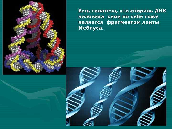 Есть гипотеза, что спираль ДНК человека сама по себе тоже является фрагментом ленты Мебиуса.