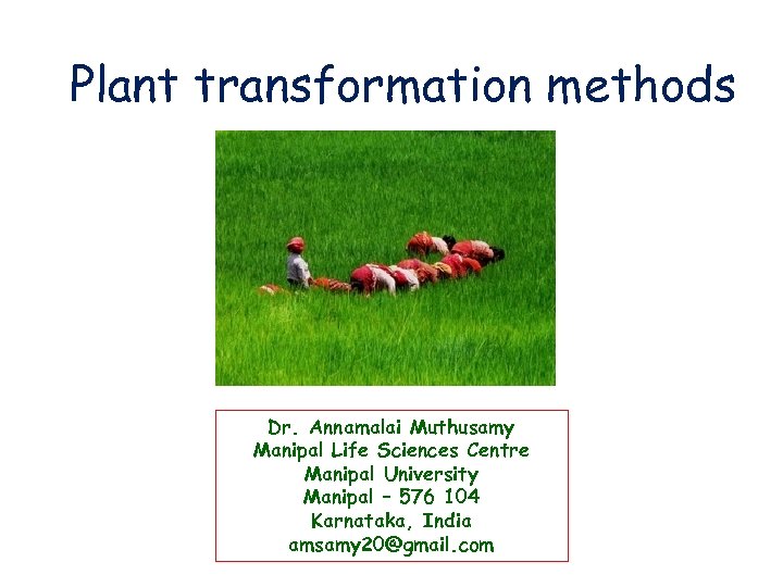 Plant transformation methods Dr. Annamalai Muthusamy Manipal Life Sciences Centre Manipal University Manipal –