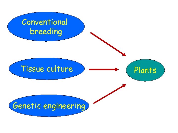 Conventional breeding Tissue culture Genetic engineering Plants 