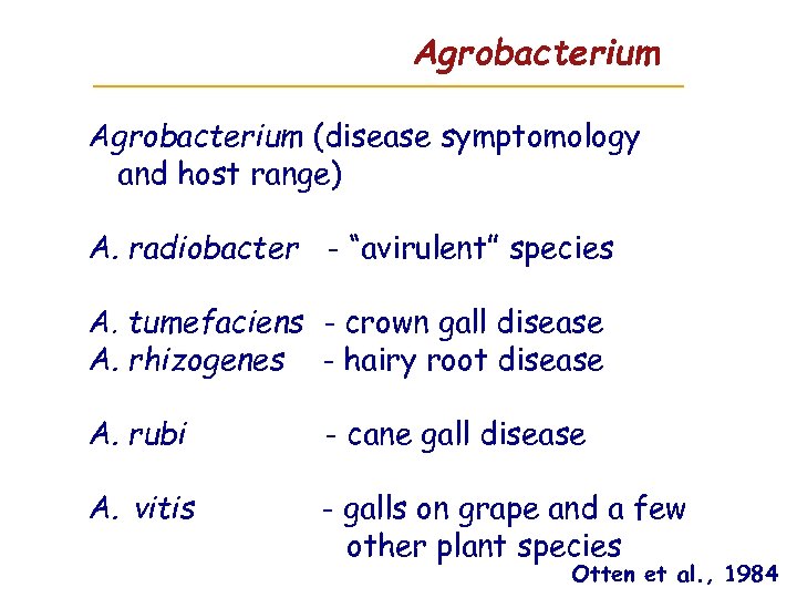 Agrobacterium (disease symptomology and host range) A. radiobacter - “avirulent” species A. tumefaciens -