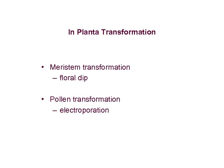 In Planta Transformation • Meristem transformation – floral dip • Pollen transformation – electroporation