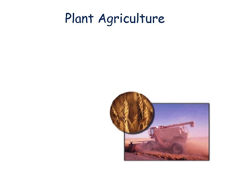 Plant Agriculture 