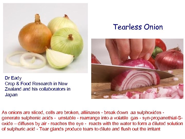 Tearless Onion Dr Eady Crop & Food Research in New Zealand his collaborators in