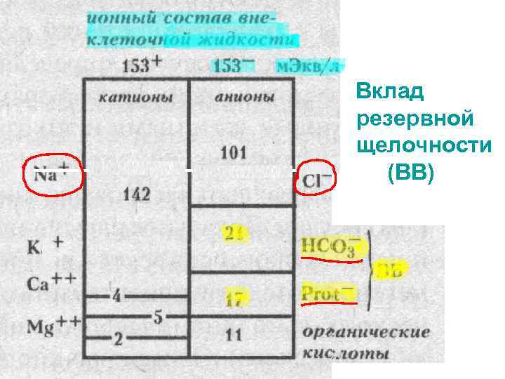 Вклад резервной щелочности (ВВ) 