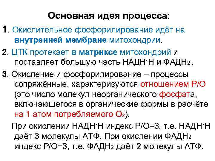 Основная идея процесса: 1. Окислительное фосфорилирование идёт на внутренней мембране митохондрии. 2. ЦТК протекает