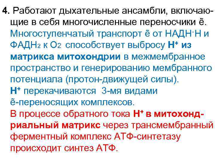 4. Работают дыхательные ансамбли, включающие в себя многочисленные переносчики ẽ. Многоступенчатый транспорт ẽ от