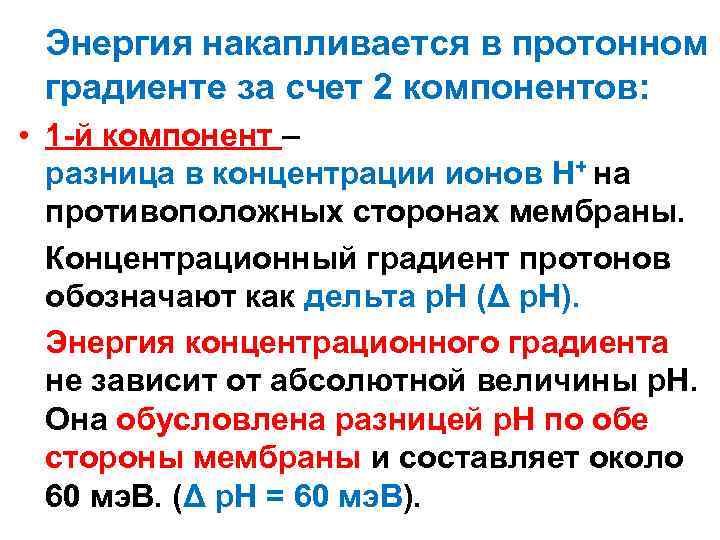 Энергия накапливается в протонном градиенте за счет 2 компонентов: • 1 -й компонент –