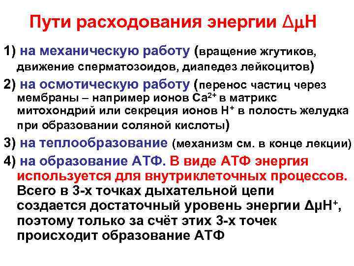 Пути расходования энергии Δ Н 1) на механическую работу (вращение жгутиков, движение сперматозоидов, диапедез