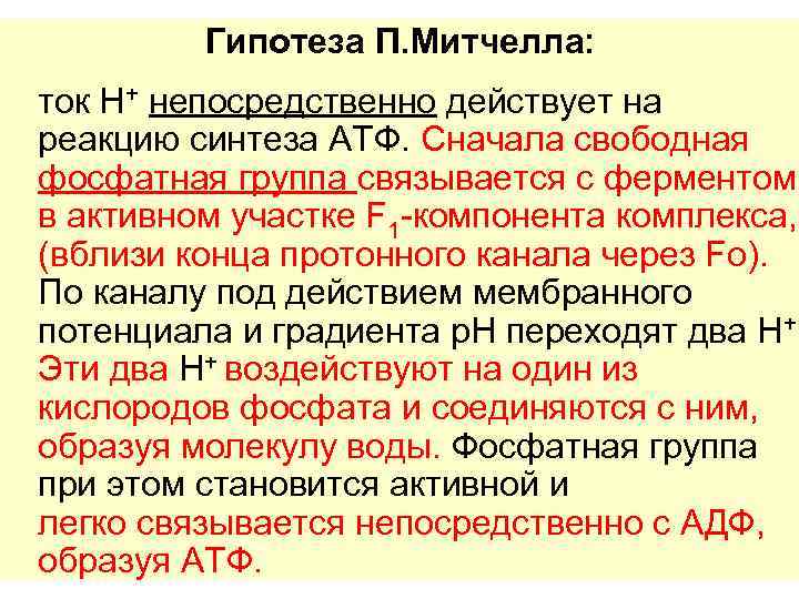 Гипотеза П. Митчелла: ток Н+ непосредственно действует на реакцию синтеза АТФ. Сначала свободная фосфатная