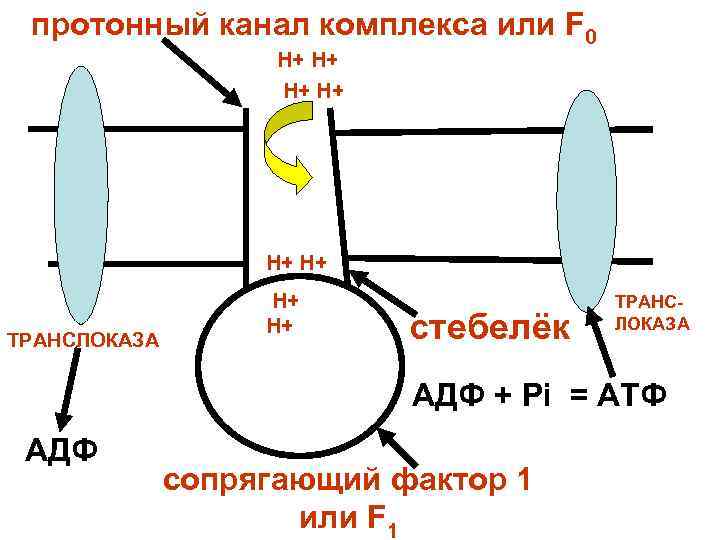 Канал комплекса