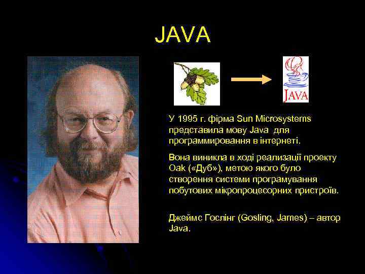 JAVA У 1995 г. фірма Sun Microsystems представила мову Java для программировання в інтернеті.